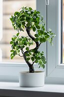 Apartment Celna Podgorze by Renters