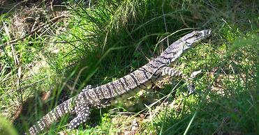 Little House in the Nursery