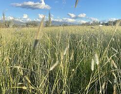 Little House in the Nursery