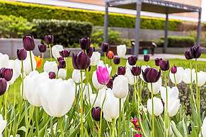 Beautiful, Central Studio in Chelsea