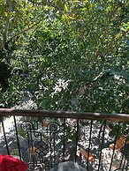 Asclepius Boutique Hotel & Cafe