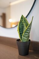 Mythodea Athens Suites