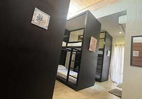 Ceda Guest House by HiveRooms