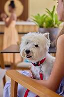 Six Senses La Sagesse