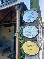 Tree Bungalov Maşukiye