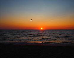 The Breeze Overlooking Minister s Pond