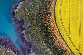 The Apple Store - 1 Bedroom Cottage - St Ishmael's