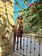 Dar Mhenna de fêtes & séminaires