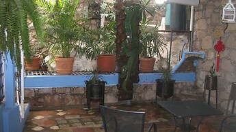 Casa Zuniga Bed and Breakfast