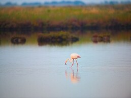 New and Bright Apartment Close to the Beach