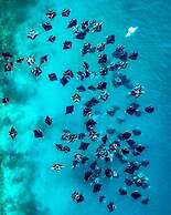 Dhoani Maldives Guesthouse