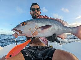 Dhoani Maldives Guesthouse