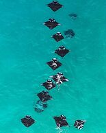 Dhoani Maldives Guesthouse