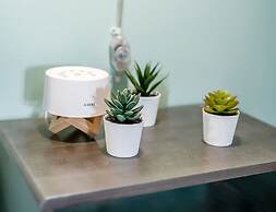 100 Year-old Historic Brick 2BR Loft Large Patio2