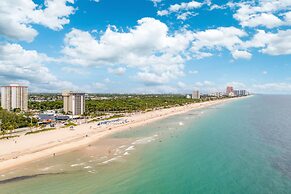 Purple Pelican by Opus (Suite 2)