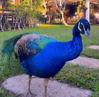 Viang Yonok Hotel Restaurant Sports Club