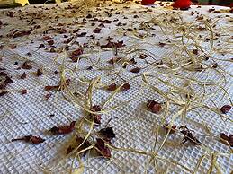 Taş Mahall Luxury Hotel