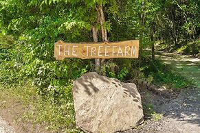 Tree Farm Duo - Best of the Ozarks!