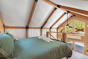 Tree Farm Duo - Best of the Ozarks!