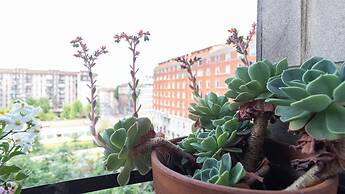 Italianway - Palestrina 31