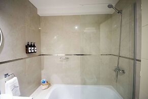 Luxurious Studio in San Telmo