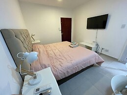 Modern Newly Renovated Studio in Las Cañitas