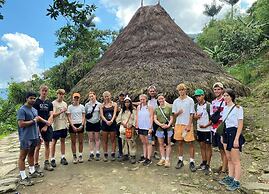 Tree of Life - Hostel