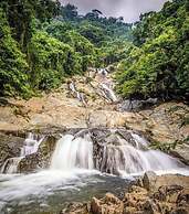 Tree of Life - Hostel