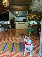 Tree of Life - Hostel