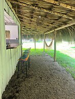 Tree of Life - Hostel