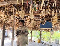 Tree of Life - Hostel