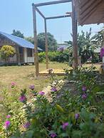 Tree of Life - Hostel