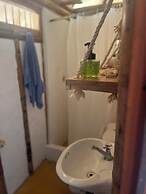 Tree of Life - Hostel