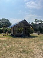 Tree of Life - Hostel