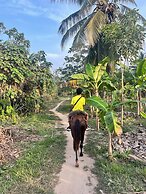 Tree of Life - Hostel