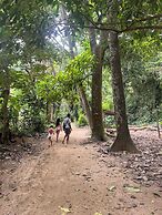 Tree of Life - Hostel