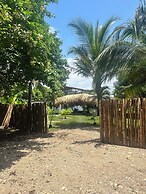 Tree of Life - Hostel