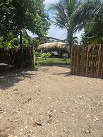 Tree of Life - Hostel