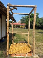 Tree of Life - Hostel