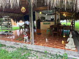 Tree of Life - Hostel