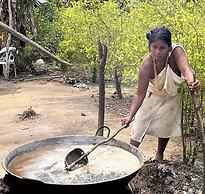 Tree of Life - Hostel