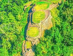 Tree of Life - Hostel