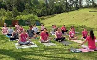 Tree of Life - Hostel