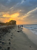 Tree of Life - Hostel