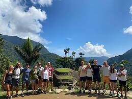 Tree of Life - Hostel