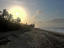 Tree of Life - Hostel