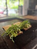 Tree of Life - Hostel