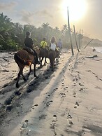 Tree of Life - Hostel