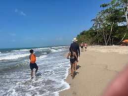 Tree of Life - Hostel