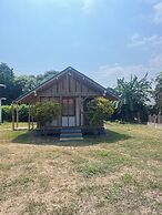 Tree of Life - Hostel